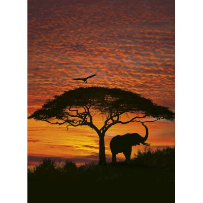 Komar Fototapeten 4-501 Papier Fototapete - African Sunset - Größe 194 x 270 cm