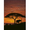 Komar Fototapeten 4-501 Papier Fototapete - African Sunset - Größe 194 x 270 cm