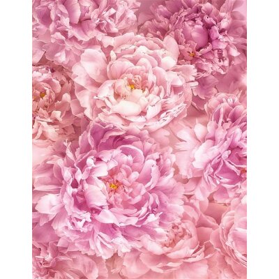 Komar Fototapeten X4-009 Vlies Fototapete - Soave - Größe 200 x 260 cm