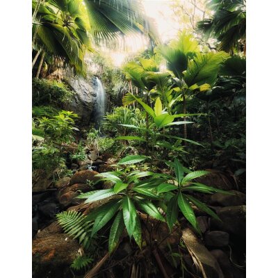 Komar Fototapeten X4-527 Vlies Fototapete - Spirit - Größe 200 x 260 cm