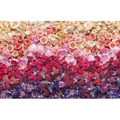 Komar Fototapeten X8-8965 Vlies Fototapete - Intense - Größe 400 x 260 cm