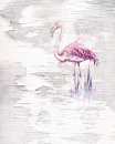 Komar Fototapeten 6007A-VD2 Vlies Fototapete - Pink Flamingo - Größe 200 x 250 cm