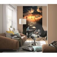 2531N-81 Tapeten Erismann Zooom Digitaltapete