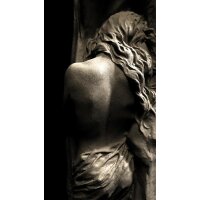 2532N-81 Tapeten Erismann Zooom Digitaltapete