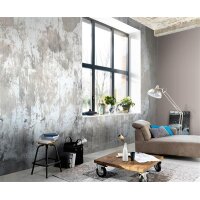 2226-10 Tapeten Erismann Zooom Digitaltapete