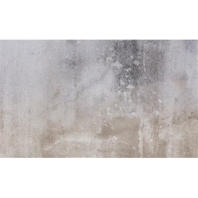 2251-10 Tapeten Erismann Zooom Digitaltapete