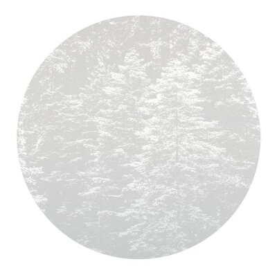 2553N-71 Tapeten Erismann Fashion for walls 4 Digitaltapete