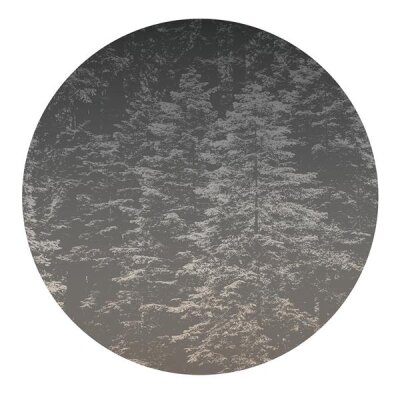2553N-72 Tapeten Erismann Fashion for walls 4 Digitaltapete