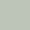 077003 Rasch Textil Fagelsang Vliestapete