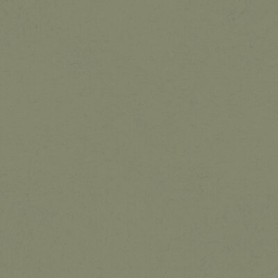 077007 Rasch Textil Fagelsang Vliestapete