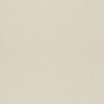 077014 Rasch Textil Fagelsang Vliestapete