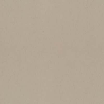 077016 Rasch Textil Fagelsang Vliestapete