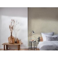 AS 395654 Tapeten A.S Creation Farbe Grau Grün    Smart Surfaces Vliestapete