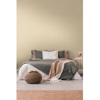 AS 395655 Tapeten A.S Creation Farbe Grau Beige    Smart Surfaces Vliestapete