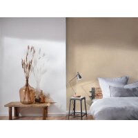 AS 395656 Tapeten A.S Creation Farbe Beige Rosa    Smart Surfaces Vliestapete