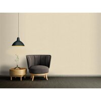AS 367216 Tapeten A.S Creation Farbe Beige     Smart Surfaces Vliestapete