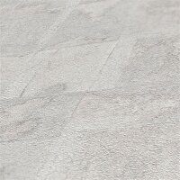 AS 396713 Tapeten A.S Creation Farbe Hellgrau Silber    Stories of Life Profiltapete