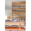 DG4MED1032-260 Tapeten Masureel Khroma orange, grau  Wall Designs IV Digitalpanel