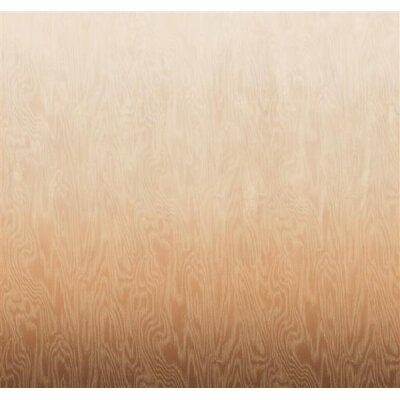 DG4MOI1042-260 Tapeten Masureel Khroma rot, orange Wall Designs IV Digitalpanel