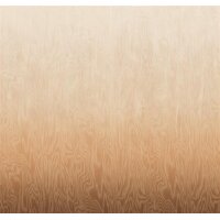 DG4MOI1042-260 Tapeten Masureel Khroma rot, orange Wall...