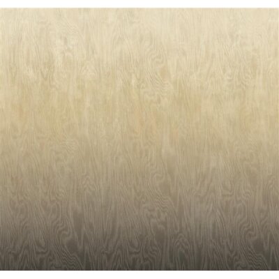 DG4MOI1051-260 Tapeten Masureel Khroma sand, grau  Wall Designs IV Digitalpanel