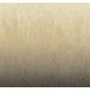 DG4MOI1052-300 Tapeten Masureel Khroma sand, grau  Wall Designs IV Digitalpanel