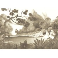 DG4TOU1012-300 Tapeten Masureel Khroma braun Wall Designs...