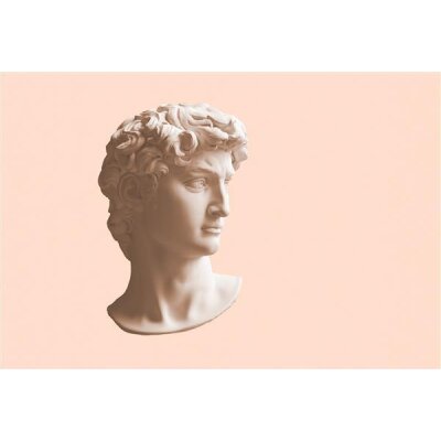 AS Digital Wandbilder Farbe Rosa Weiß Beige   Walls by patel 4 mars