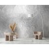 AS Digital Wandbilder Farbe Silber Grau    Walls by patel 4 silvie