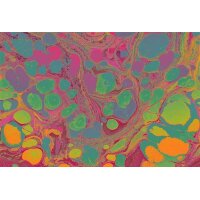 AS Digital Wandbilder Farbe Pink Lila Grün Orange  Walls by patel 4 flow