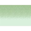 AS Digital Wandbilder Farbe Grün     Walls by patel 4 pixi mint