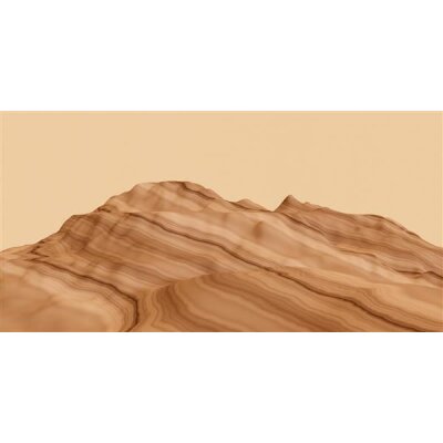 AS Digital Wandbilder Farbe Braun Beige    Walls by patel 4 leia