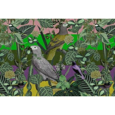 AS Digital Wandbilder Farbe Bunt Grün Lila Grau  Walls by patel 4 amazona 2