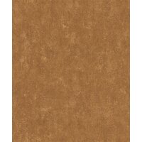 304984 Rasch Textil Braun Akasa Vliestapete