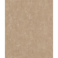 304939 Rasch Textil Beige Akasa Vliestapete