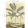 Tapeten Eijffinger Oasis 317406 Wandbild
