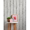 AS 953701 Tapeten A.S Creation Farbe Weiß Creme Grau  Elements II Vinyltapete
