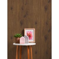 AS 300431 Tapeten A.S Creation Farbe Braun    Elements II Vinyltapete