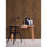 AS 300431 Tapeten A.S Creation Farbe Braun    Elements II Vinyltapete