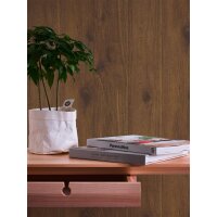 AS 300431 Tapeten A.S Creation Farbe Braun    Elements II Vinyltapete