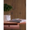 AS 300431 Tapeten A.S Creation Farbe Braun    Elements II Vinyltapete