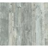AS 954055 Tapeten A.S Creation Farbe     Elements II Vinyltapete