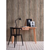 AS 954053 Tapeten A.S Creation Farbe Beige Braun   Elements II Vinyltapete