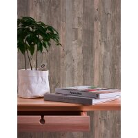 AS 954053 Tapeten A.S Creation Farbe Beige Braun   Elements II Vinyltapete