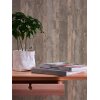 AS 954053 Tapeten A.S Creation Farbe Beige Braun   Elements II Vinyltapete