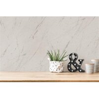 AS 393361 Tapeten A.S Creation Farbe Grau Silber Metallic  Elements II Profiltapete
