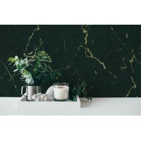 AS 378555 Tapeten A.S Creation Farbe Grün Gold   Elements II Vinyltapete