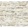 AS 363703 Tapeten A.S Creation Farbe Beige Gelb   Elements II Vinyltapete