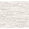 AS 959083 Tapeten A.S Creation Farbe Creme Weiß   Elements II Vinyltapete