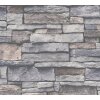 AS 388132 Tapeten A.S Creation Farbe Grau Beige Braun  Elements II Satintapete